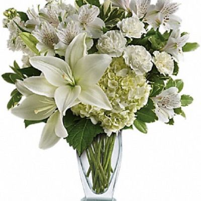 <div class="m-pdp-tabs-description">
<div id="mark-1" class="m-pdp-tabs-marketing-description">Who's the fairest of them all? This snow-white bouquet. A stunning statement of your purest love, this mix of hydrangea and lilies in a Couture vase will take their heart away.</div>
</div>
<p id="arrngDescp">This snow-white bouquet includes hydrangea, asiatic lilies, alstroemeria, miniature carnations, stock and fresh green pittosporum.</p>