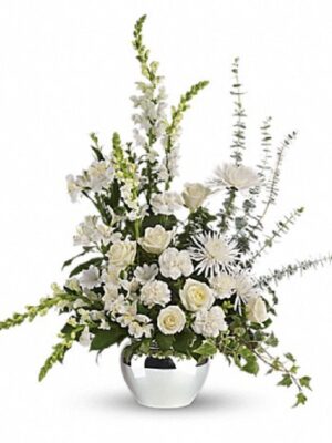 Reflections of Serenity