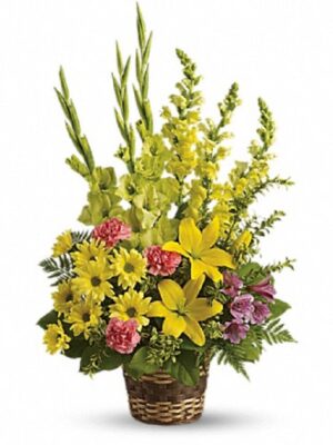 Recollections Tribute