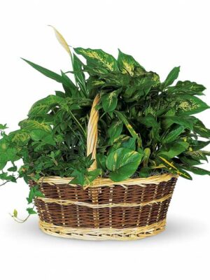 Bountiful Garden Basket