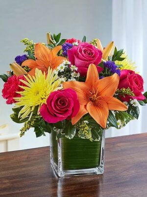 Healing Hope - Multi-Color