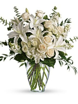 Dreams From The Heart