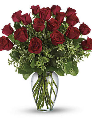 Long Stem Red Roses by the Dozen