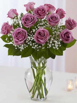 Lavender Roses