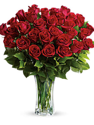 Love & Devotion Long Stem Roses
