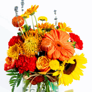 Crazy About the Pumpkins