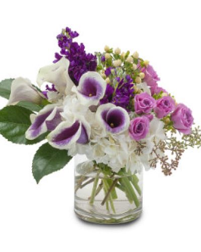 Pure joy. Best wishes. Send them both with this radiant bouquet featuring purple stock, spray roses and calla lilies.