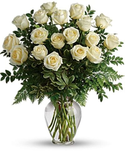 <p>Your Love & Devotion delivered. Surprise your special one with this gorgeous arrangement of white roses available in one dozen, 18 roses or two dozen beautiful blooms.</p>
<p>It’s a an unforgettable display of your timeless love that they'll always remember.</p>