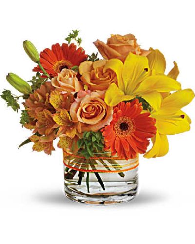 <p>Send a sunny siesta someone's way with this chic summer bouquet! Warm shades of orange and yellow are presented in a modern low cylinder vase for a stylish arrangement that suits anyone, any time.<br />
Yellow asiatic lilies, light orange roses and an orange gerbera daisy are blended with Peruvian lilies (also known as alstroemeria) in a clear cylinder vase wrapped with sheer organza ribbon.<br />
Fresh bupleurum adds a bright burst of green.</p>