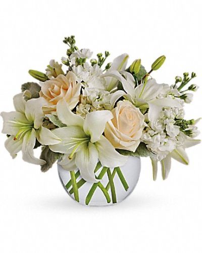 <div class="m-pdp-tabs-description">
<div id="mark-1" class="m-pdp-tabs-marketing-description">Like a vacation for the senses, this lovely bouquet delivers an oasis of beauty and elegance. Soothing, serene and very special.</div>
</div>
<p id="arrngDescp">Crème roses, white asiatic lilies and stock stem are incredibly arranged in a bubble vase. When it comes to bouquets, this is definitely the right way to do white.</p>