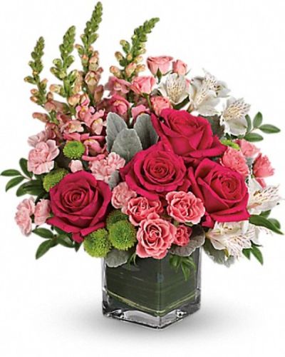 <div class="m-pdp-tabs-description">
<div id="mark-3" class="m-pdp-tabs-marketing-description">Fun and feminine, this hot pink bouquet is reminiscent of a spring garden party with friends! Stunning roses, delicate alstroemeria and dramatic snapdragons are hand-delivered in a classic cube vase lined with a green leaf - a surprise gift that'll touch her heart, no matter the occasion.</div>
</div>
<p id="arrngDescp">Hot pink roses, pink spray roses, white alstroemeria, pink miniature carnations, green button spray chrysanthemums and pink snapdragons are arranged with dusty miller, huckleberry and variegated aspidistra leaf. Delivered in a clear cube vase.</p>