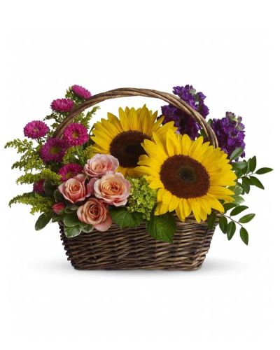Send this colorful gift basket of flowers to your favorite garden lover or flower-loving grandmother. Like a miniature summer garden, the fresh cut flowers will brighten her kitchen counter, bedside table, coffee table...any of her favorite places!

Large yellow sunflowers, peach roses, purple stock, miniature green hydrangea, and hot pink matsumoto asters are presented in a rectangular handled basket.
Greens include solidago, huckleberry and variegated pittosporum.